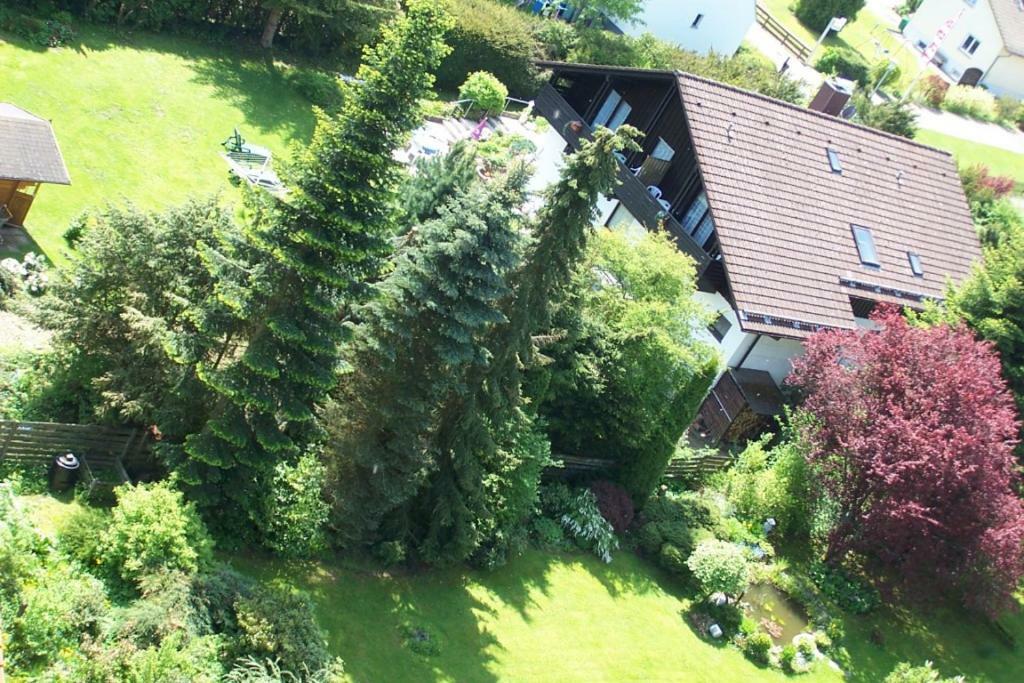 Hotel Gruenes Paradies- Garni Hochwaldhausen Buitenkant foto